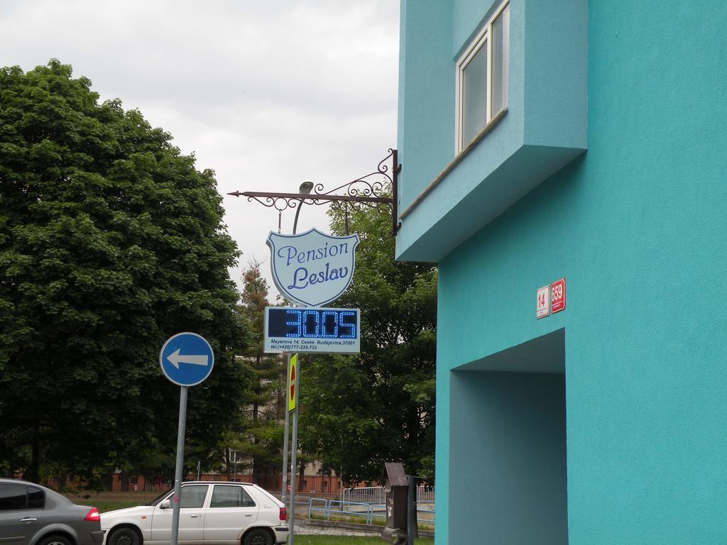 Penzion- Leslav Czeskie Budziejowice Zewnętrze zdjęcie