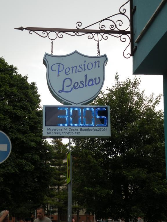 Penzion- Leslav Czeskie Budziejowice Zewnętrze zdjęcie