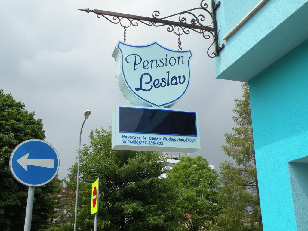 Penzion- Leslav Czeskie Budziejowice Zewnętrze zdjęcie