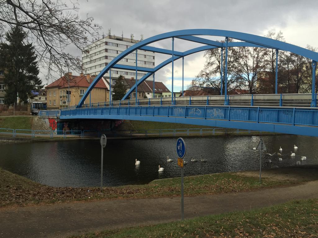 Penzion- Leslav Czeskie Budziejowice Zewnętrze zdjęcie
