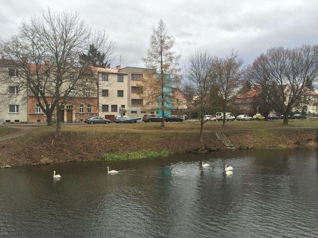 Penzion- Leslav Czeskie Budziejowice Zewnętrze zdjęcie